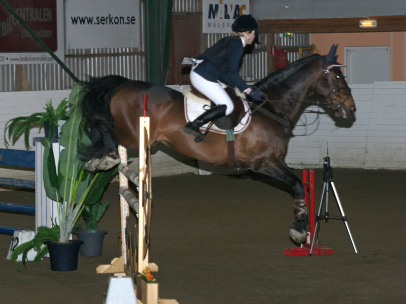 20080405_161540 Tora Matsson Fairy Tales Capisco